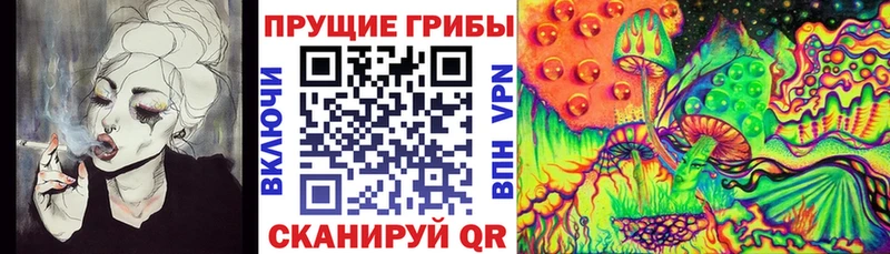 Галлюциногенные грибы GOLDEN TEACHER  купить   Новоузенск 