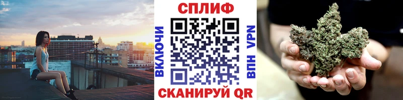 Канабис White Widow  купить наркотики сайты  Новоузенск 